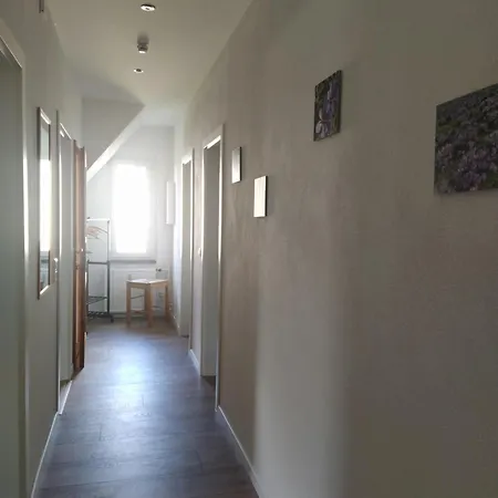 Ferienwohnungen Am Safrangarten Altenburg Exterior foto